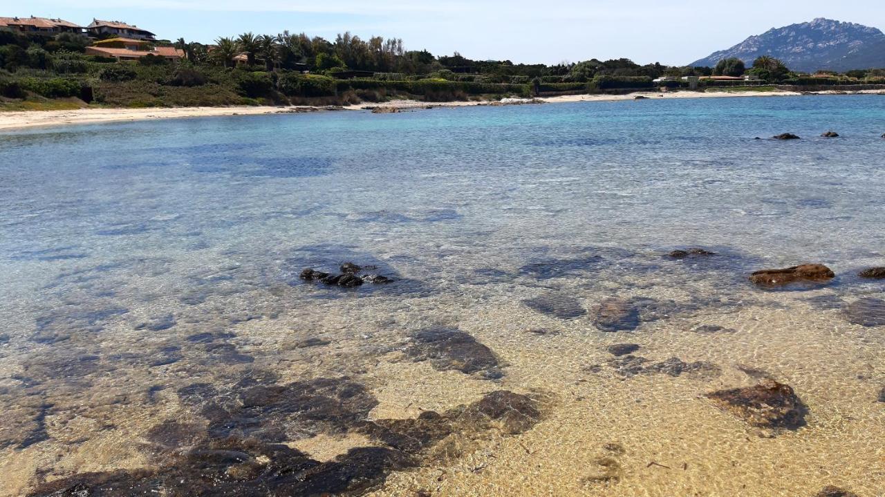 オルビアLo Sguardo Sulla Citta' ,Panoramic Viewアパートメント エクステリア 写真